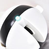 Electric Lifting Ball Cat Toy – Interactive Play That Keeps Them Chasing