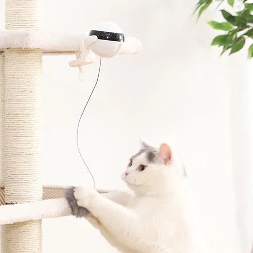 Electric Lifting Ball Cat Toy – Interactive Play That Keeps Them Chasing